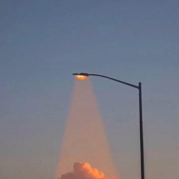 Meet your Posher, Jake - Picture 1 of 1